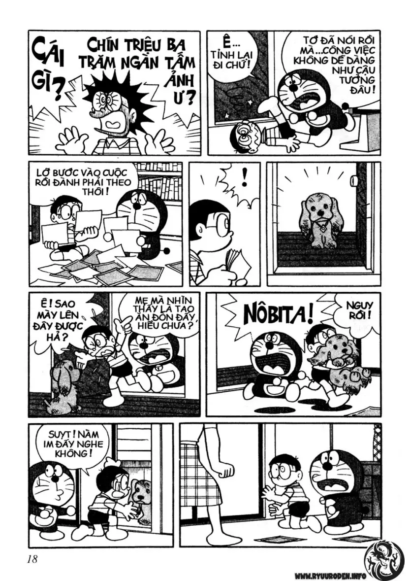 Trang 19