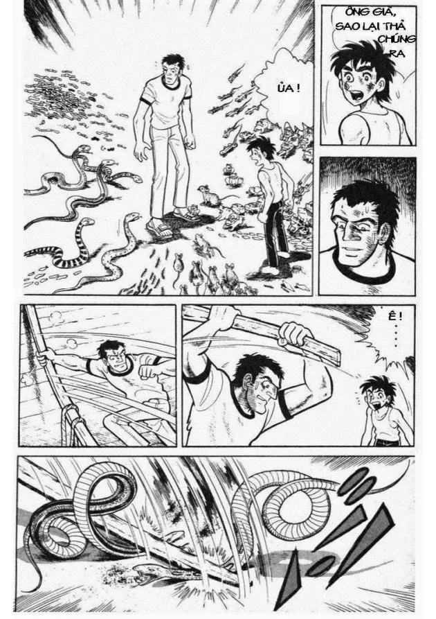Trang 117